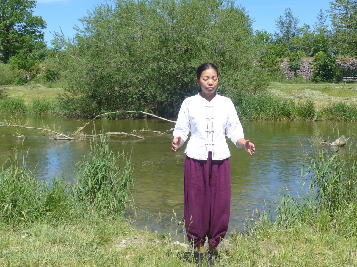 Programm Zhineng Qi Gong | Tibetan Kung Fu Zürich